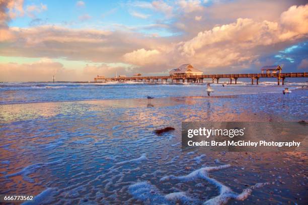 clearwater sunrise - clearwater florida stockfoto's en -beelden