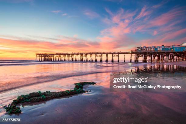 all washed up - cocoa-beach stock pictures, royalty-free photos & images