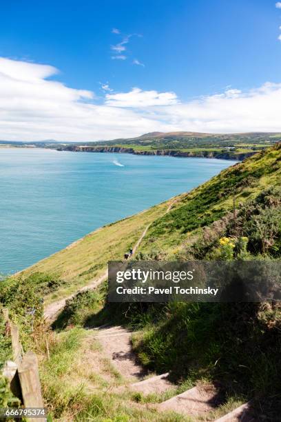 pembrokeshire coast path on the ynys dinas peninsula, wales - newport wales stock pictures, royalty-free photos & images