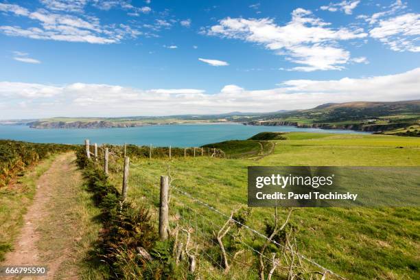 pembrokeshire coast path on the ynys dinas peninsula, wales - newport wales stock pictures, royalty-free photos & images