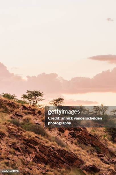 african semi-arid and rocky landscape in sunset light. - kalahari desert stock pictures, royalty-free photos & images