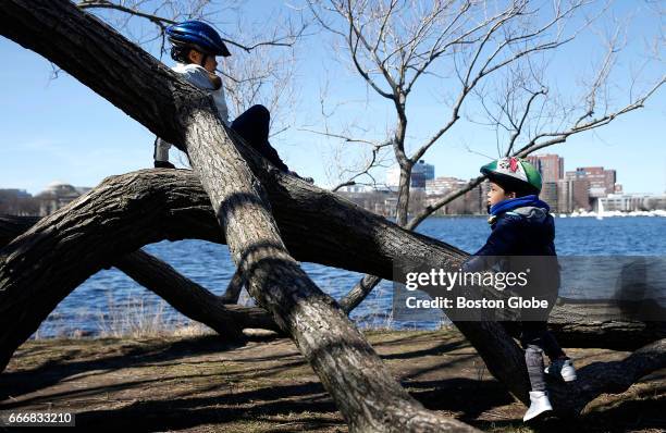 Max Yu 257 Max Yu Stock Photos, High-Res Pictures, and Images - Getty Images