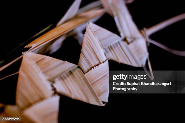 palm leaf for palm sunday - suphat bhandharangsri stock pictures, royalty-free photos & images