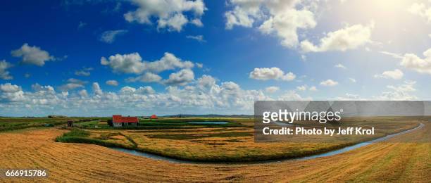 panoramic dutch landscape view of nature, blue cloudy sky with sun in the back. - buiten de steden gelegen gebied stock pictures, royalty-free photos & images