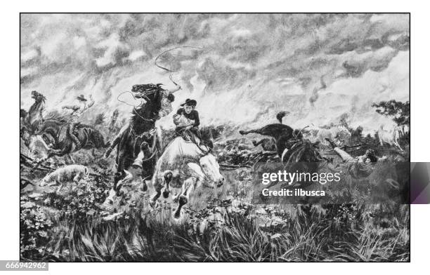 antique photo of paintings: escaping from australian bush fire - fire bush stock illustrations