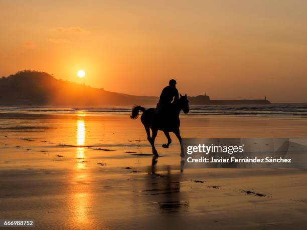the silhouette of a rider with his horse galloping along the beach during sunset, in the golden hour. - golden hour beach stock pictures, royalty-free photos & images