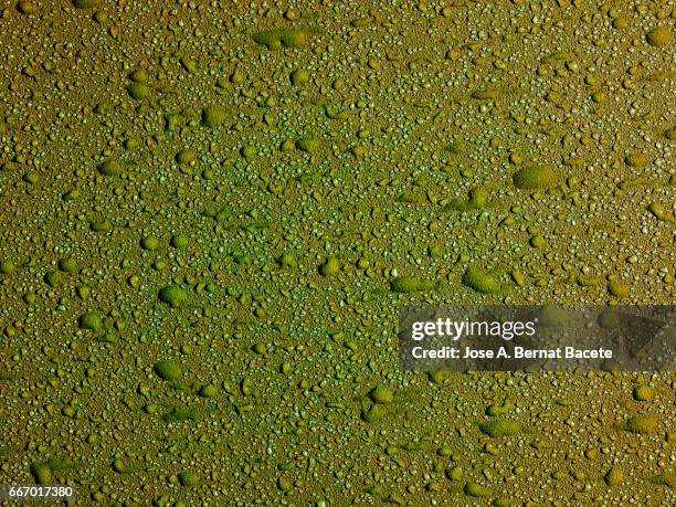 full frame of the textures formed by the bubbles and drops, on a coarse of colors background - simetría stockfoto's en -beelden