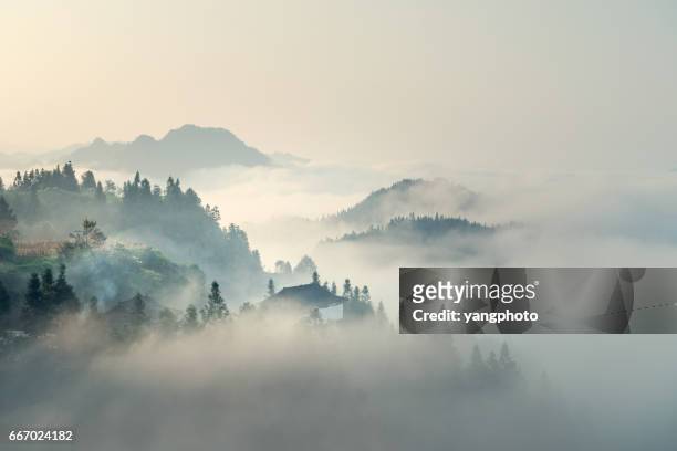 the morning mist - fog stock pictures, royalty-free photos & images