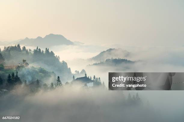 a névoa da manhã - fog - fotografias e filmes do acervo