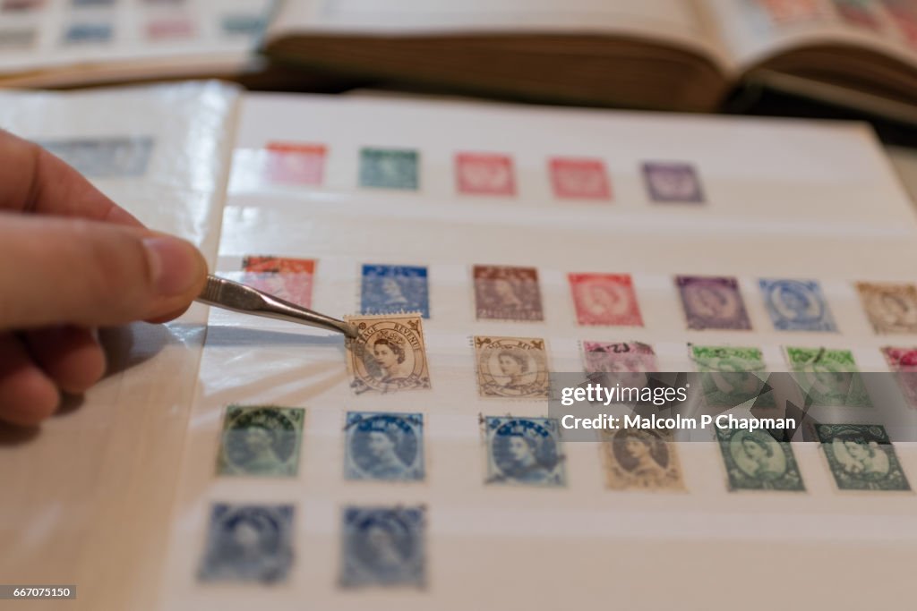 Stamp collection, philately. Man places a postage stamp in an album.