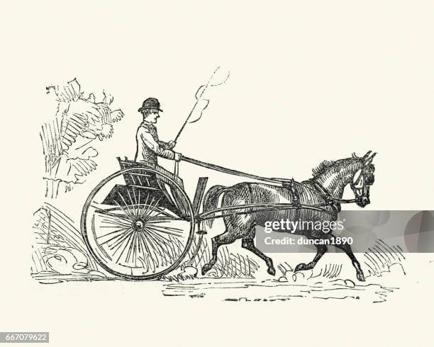 ilustraciones, imágenes clip art, dibujos animados e iconos de stock de trampa de victorian (carro), siglo xix - carruaje