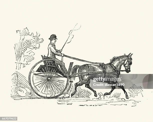 victorian trap (carriage), 19th century - carriage stock illustrations