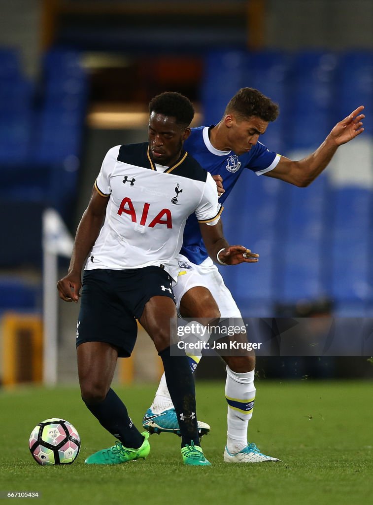 Everton v Tottenham Hotspur - Premier League 2