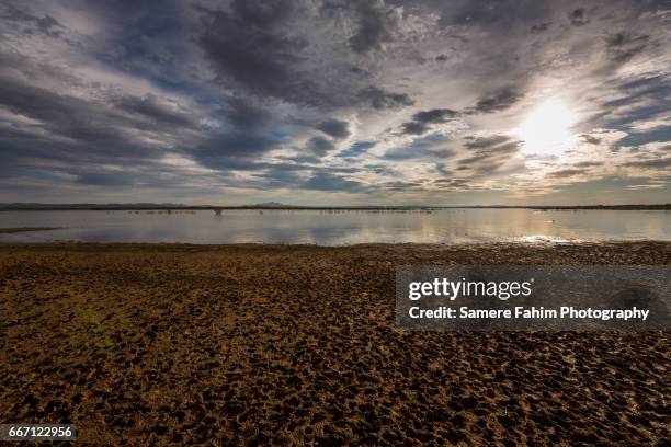 Dayet Tlemcen National Park Photos and Premium High Res Pictures - Getty Images