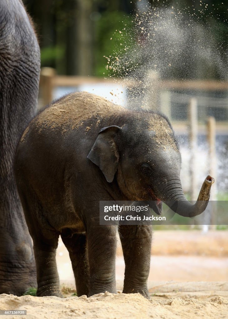 The Queen & Duke Of Edinburgh Visit Bedfordshire
