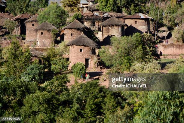 tukul huts lalibela ethiopia - végétation verdoyante 個照片及圖片檔