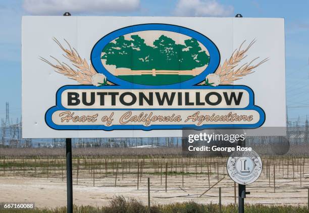 Buttonwillow Cattle Ranch 234 Buttonwillow Stock Photos, High-Res Pictures, and Images - Getty Images