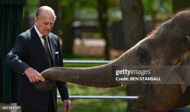 Britain's Prince Philip, Duke of Edinburgh feeds an elephant named 'Donna' after opening the new Centre for Elephant Care with his wife Britain's...