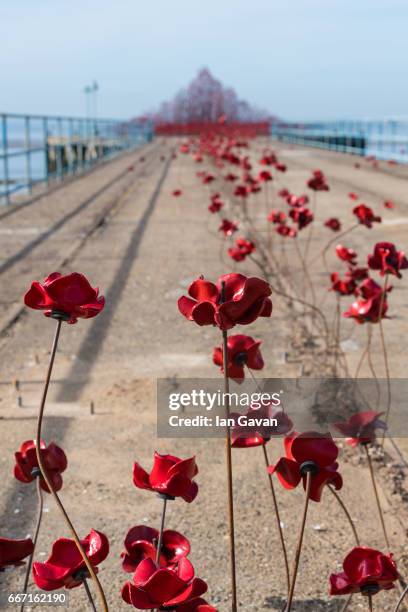 General view of the poppy sculpture "Wave" at Barge Pier, Shoeburyness, Southend-on- Sea as part of a UK-wide tour organised by 14-18 NOW on April...