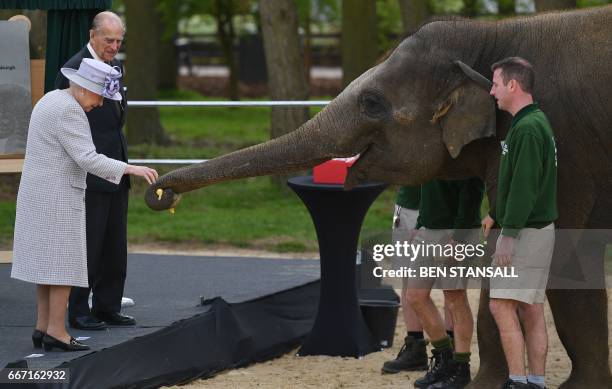 Britain's Prince Philip, Duke of Edinburgh watches as his wife Britain's Queen Elizabeth II feeds an elephant named 'Donna' after opening the new...