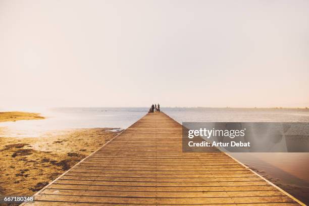 beautiful minimal landscape with wood pier over the mediterranean sea in the ebro delta during sunset light with people in a beautiful tranquility pic. - ebro delta stock pictures, royalty-free photos & images