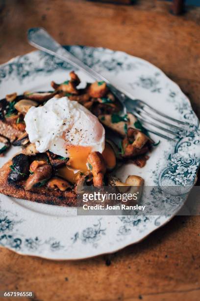 poached egg on sourdough toast with wild mushrooms - pochiert stock-fotos und bilder