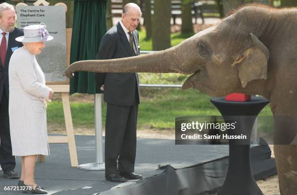 Queen Elizabeth II and Prince Philip, Duke of Edinburgh feed Donna the elephant a banana as they visit the ZSL Whipsnade Zoo at the Elephant Centre...