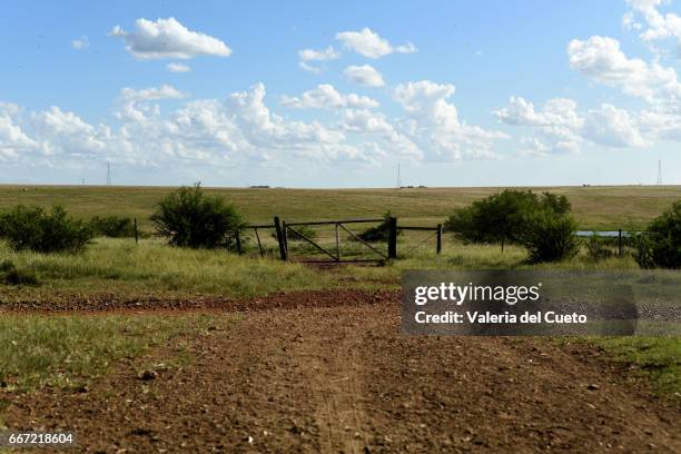 gate - paisagem natureza stock-fotos und bilder