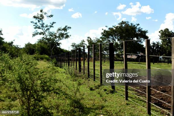 fence - paisagem natureza stock pictures, royalty-free photos & images