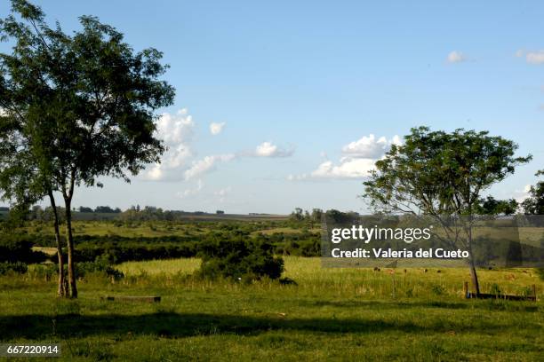 paisagem campeira - paisagem stock pictures, royalty-free photos & images