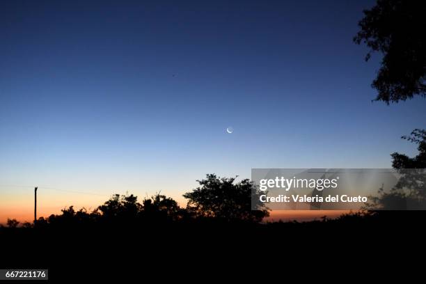 lua nova na noite campeira - paisagem natureza stock-fotos und bilder