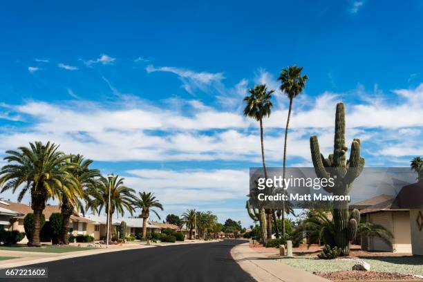 sun city. phoenix. maricopa county. arizona - phoenix arizona 個照片及圖片檔
