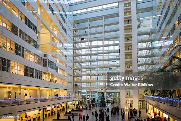 netherlands, the hague, interior - city hall stock pictures, royalty-free photos & images