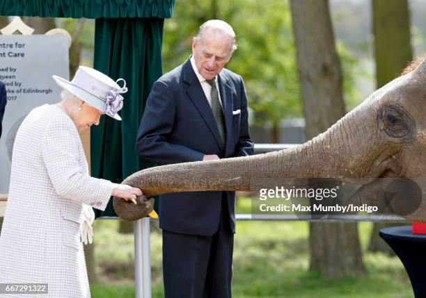 Queen Elizabeth II and Prince Philip, Duke of Edinburgh feed bananas to Donna, a 7 year old Asian Elephant, as they open the new Centre for Elephant...