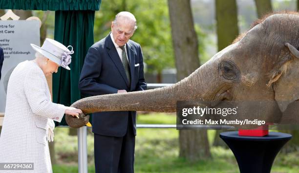 Queen Elizabeth II and Prince Philip, Duke of Edinburgh feed bananas to Donna, a 7 year old Asian Elephant, as they open the new Centre for Elephant...