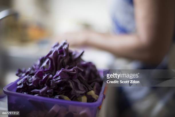 woman in kitchen chopping vegetables - scott zdon foto e immagini stock
