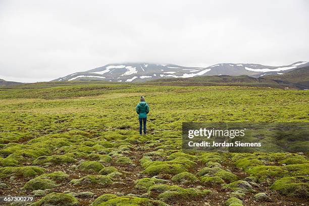 a woman standing in a lush green field. - toendra stockfoto's en -beelden