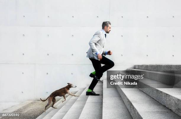 volle länge der geschäftsleute laufen auf stufen mit hund - loyalty stock-fotos und bilder