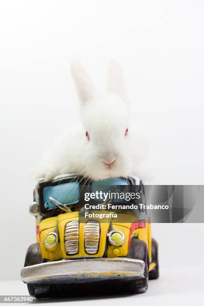 Little Yellow Bus Photos and Premium High Res Pictures - Getty Images