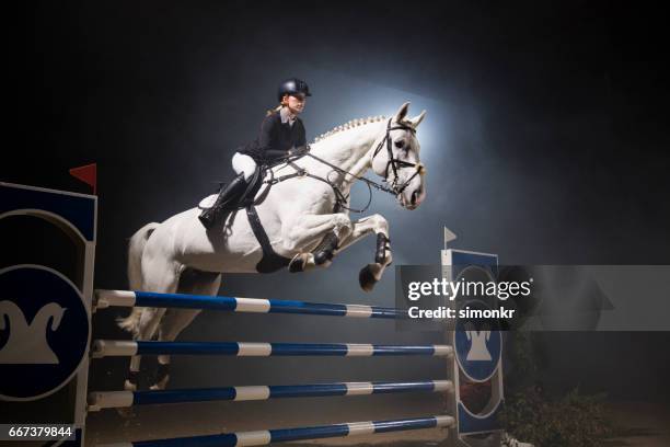 springreiten - equestrian show jumping stock-fotos und bilder