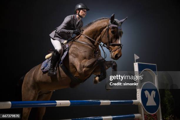 concurso de saltos - hurdling horse racing fotografías e imágenes de stock