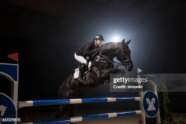 show jumping - black horse stock pictures, royalty-free photos & images