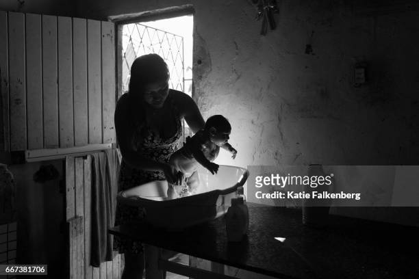 Samuel Amorim, age 2 months, who was born with microcephaly, is bathed by a family member in the kitchen of the family's home in an impoverished...