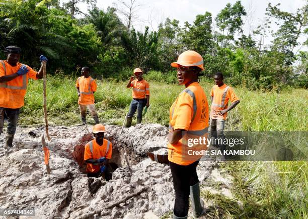 Tigui Mining Company owner Tiguidanke Camara and her employees search for gold and other minerals in a sandbank in the forest of Guingouine, a small...