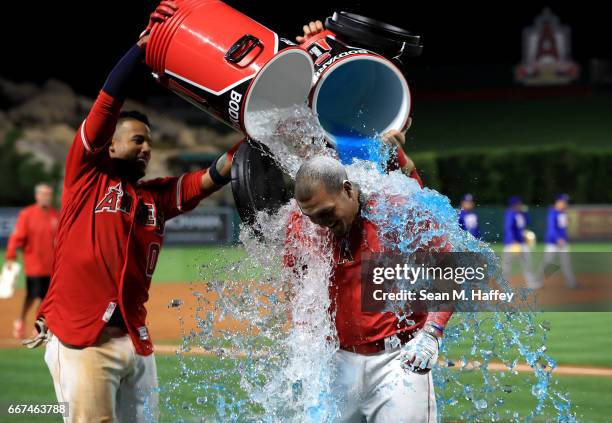 Mike Trout and Yunel Escobar pour a sports drink on Carlos Perez of the Los Angeles Angels of Anaheim after defeating the Texas Rangers 6-5 in a game...