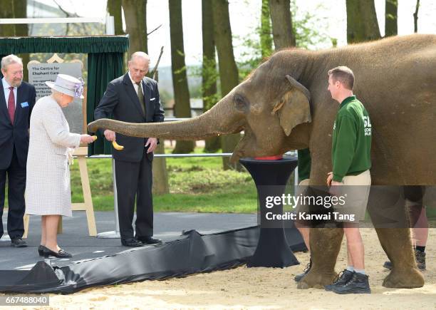 Queen Elizabeth II and Prince Philip, Duke of Edinburgh feeds Donna the elephant during the opening the new Centre for Elephant Care at ZSL Whipsnade...