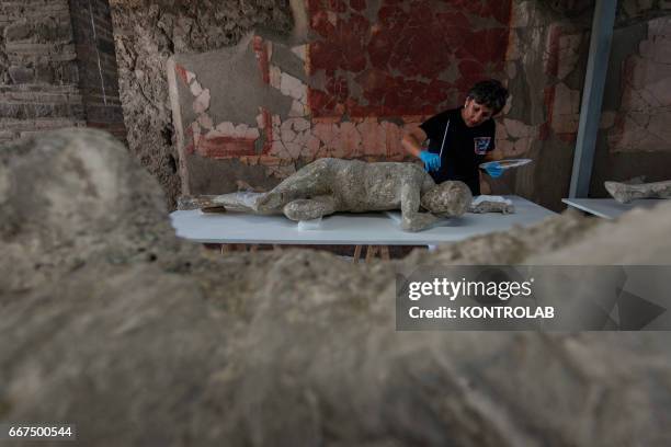 Restorer works on a pietrified victim of the eruption of Vesuvius in 79 AD in Pompeii in the laboratory of excavation site . The project includes the...