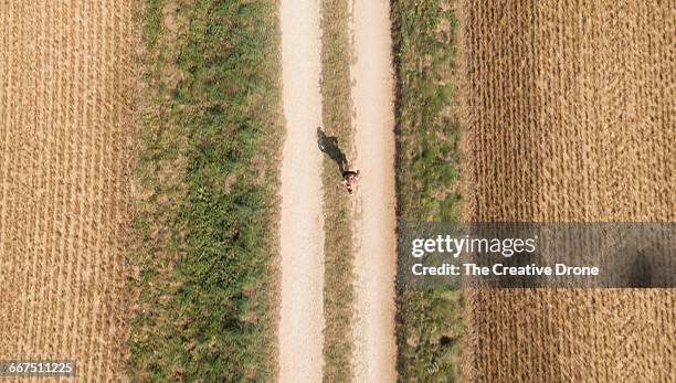 countryside jogger - track and field photos et images de collection