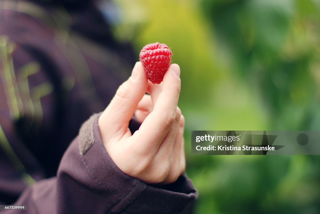 One raspberry