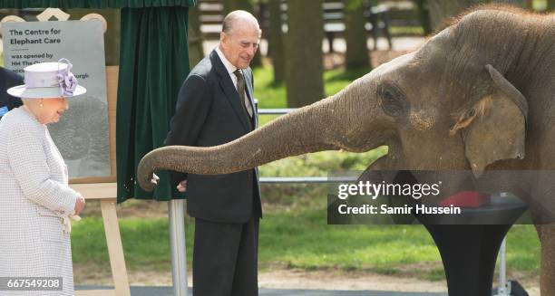 Queen Elizabeth II and Prince Philip, Duke of Edinburgh feed Donna the elephant a banana as they visit the ZSL Whipsnade Zoo at the Elephant Centre...